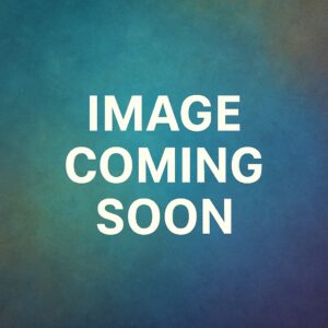 Dual Head Vacuum Pump 115V