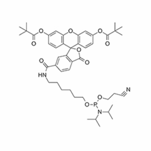 5'-Fluorescein Phosphoramidite (6-FAM)