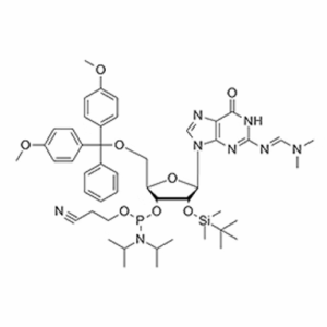 N2-dmf-5'-O-DMT-2'-O-TBDMS-G-CE Phosphoramidite